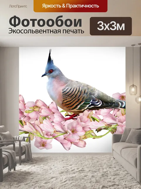 Фотообои Цветы