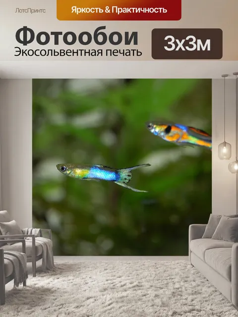 Фотообои Гуппи