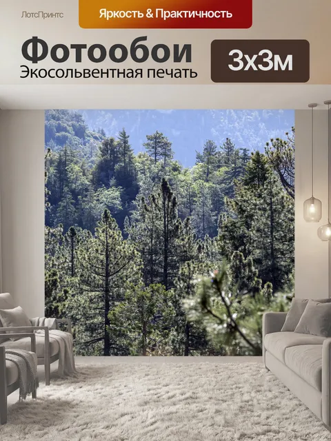 Фотообои Idyllwild лес в Калифорнии