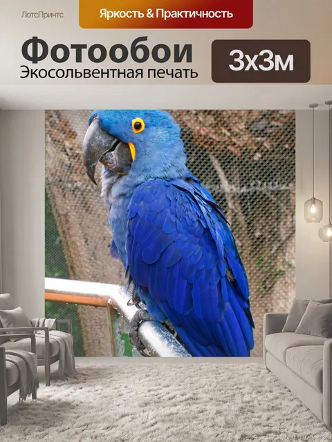 Фотообои Птица