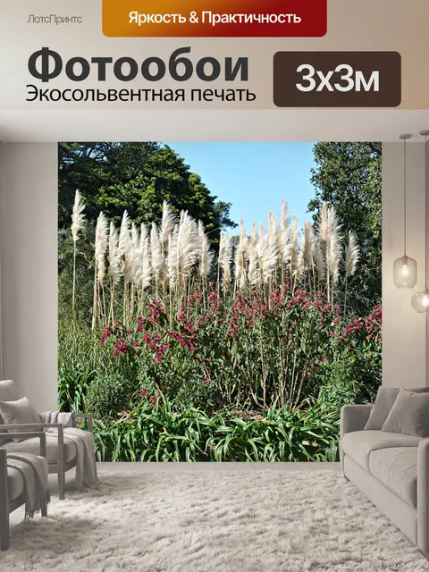 Фотообои Австралийские фауна