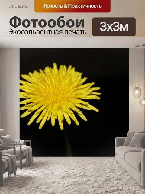 Фотообои Фон