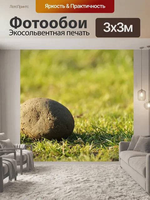 Фотообои Природа