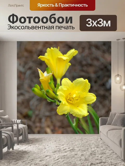 Фотообои Яркий желтый цветок