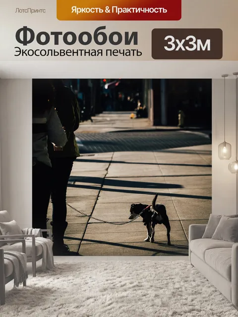 Фотообои Улица