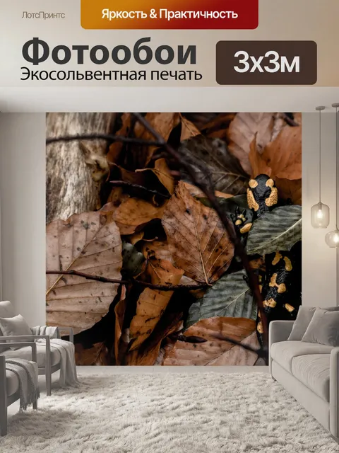 Фотообои Лес