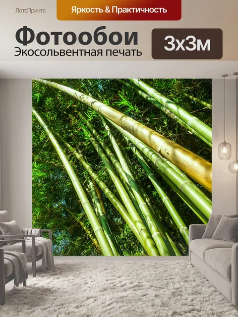 Фотообои Бамбуковый лес