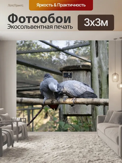 Фотообои Животные