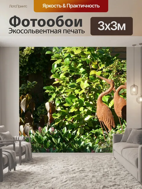 Фотообои Птица