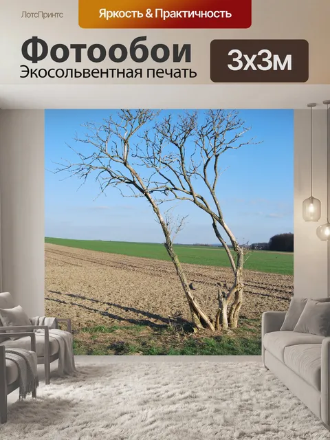 Фотообои Tree
