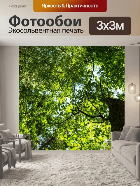 Фотообои дерево