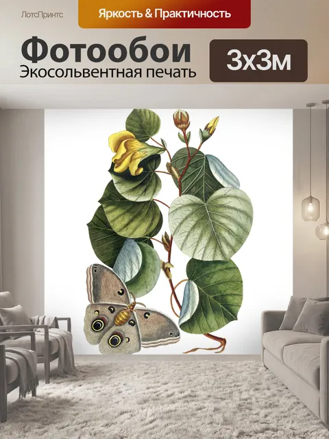 Фотообои Цветок бабочка винтаж старый