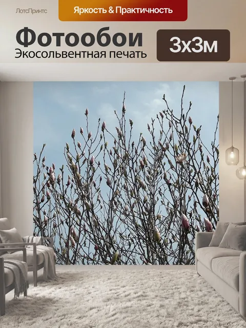 Фотообои Природа