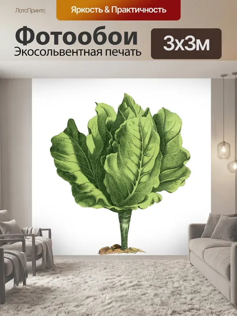 Фотообои Салат Винтаж Овощное Искусство