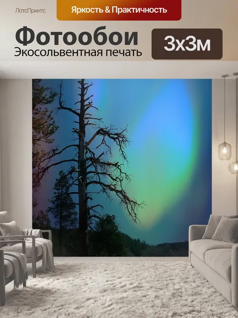 Фотообои Северный