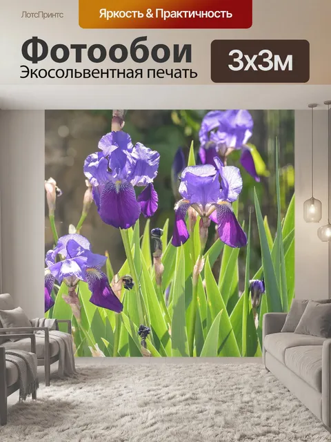 Фотообои Цветы