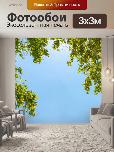 Фотообои Рамка из веток деревьев