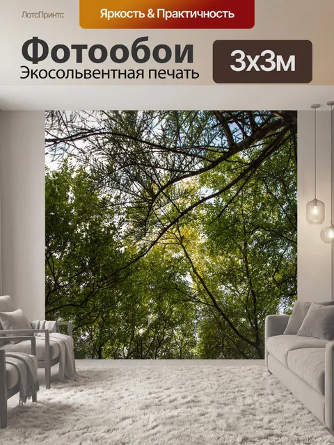 Фотообои лес
