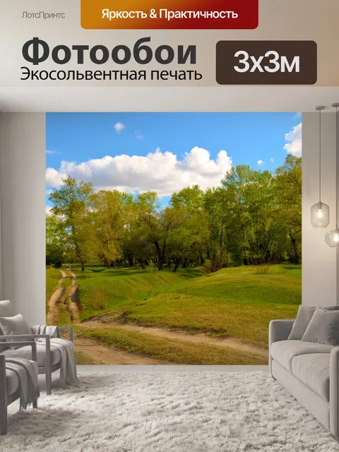 Фотообои Дорога в лесу