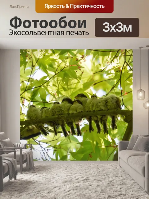 Фотообои Животное