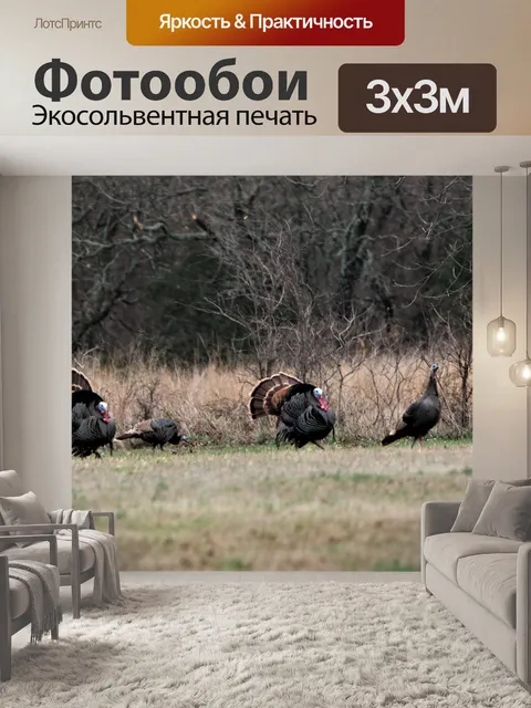Фотообои Группа Турции в начале весны