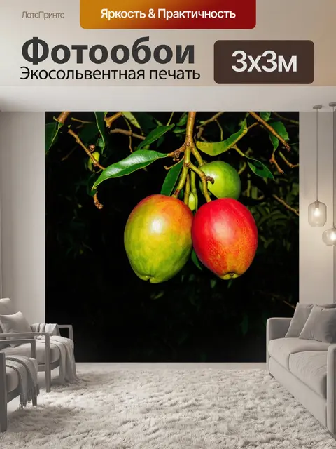 Фотообои темный фон, на котором зреют экзотические фрукты на деревьях, их яркие цвета выделяются на фоне темноты…