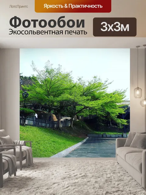 Фотообои Лес