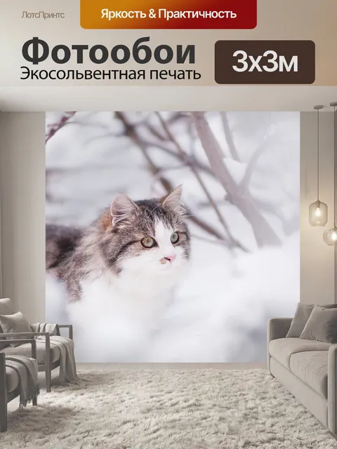 Фотообои Кот