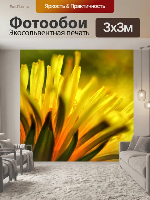 Фотообои Блоссом цветник природа
