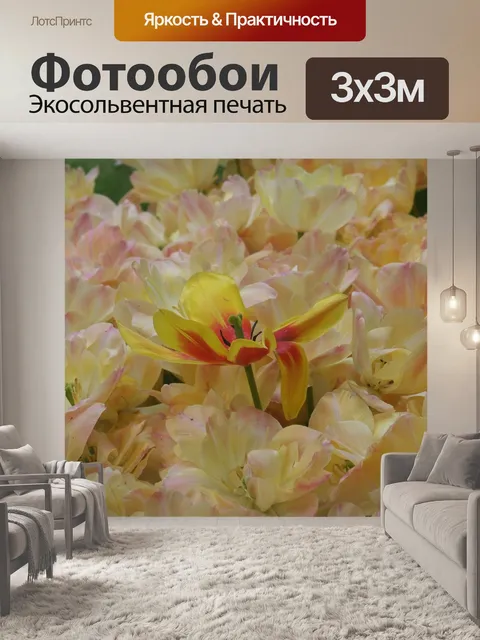 Фотообои Цветы