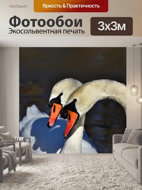 Фотообои Лебеди
