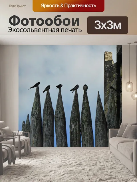 Фотообои Птицы