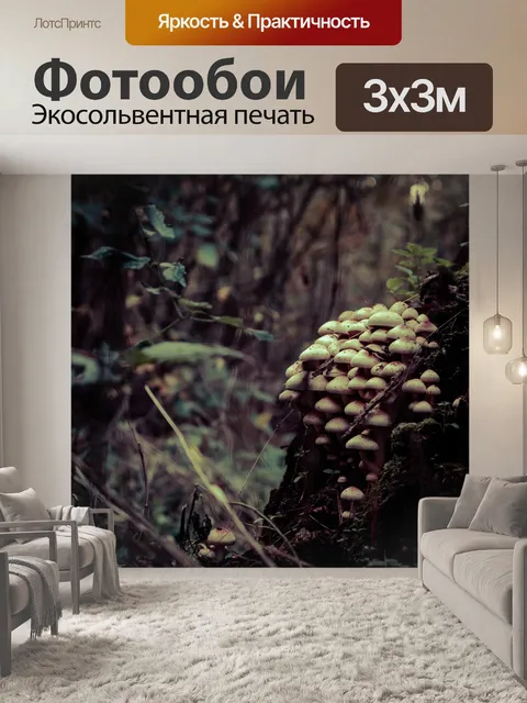 Фотообои Forest