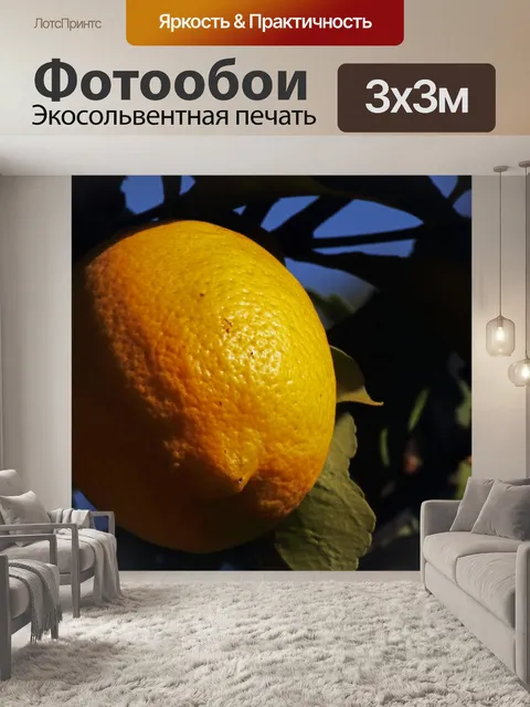 Фотообои солнечный свет на текстурированной кожур