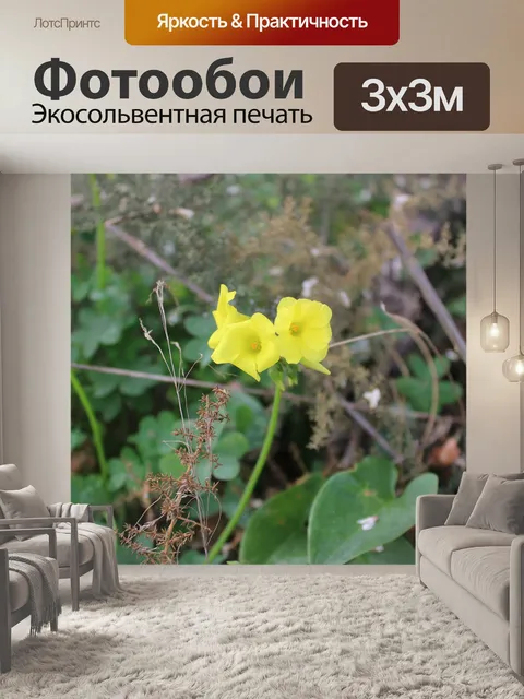 Фотообои Цветы