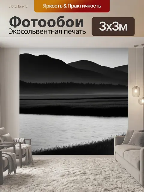 Фотообои пейзаж с природой закат чернобелый