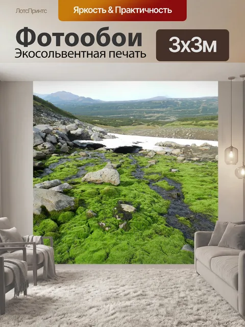Фотообои Горная тундра