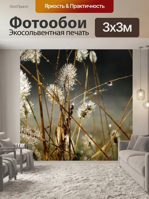 Фотообои Заячий хвост травы