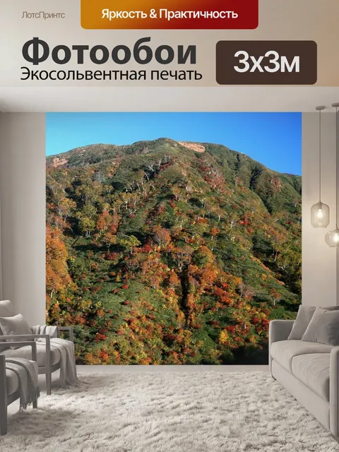 Фотообои Япония