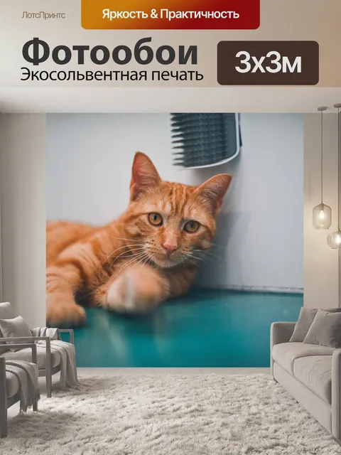 Фотообои Милый