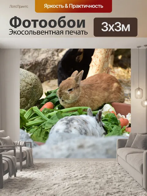 Фотообои Карликовый кролик