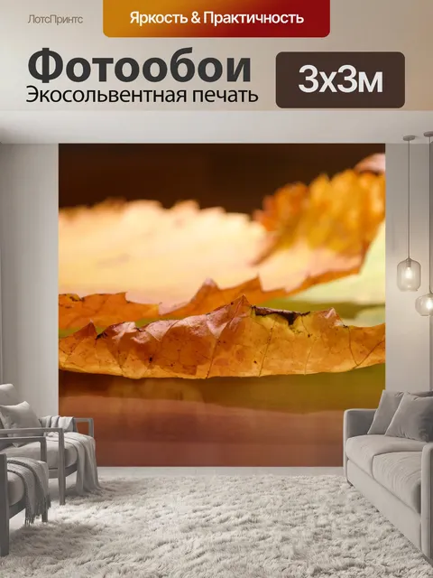 Фотообои Листья вяза