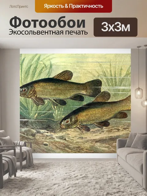 Фотообои Барбель пресноводная рыба рыба винтаж