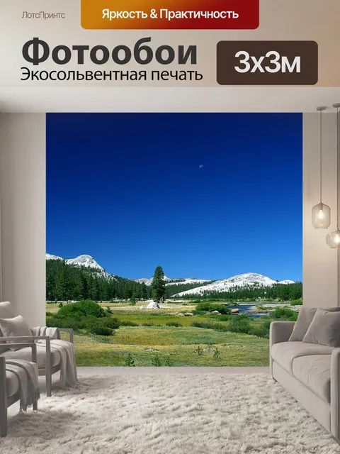 Фотообои Луга