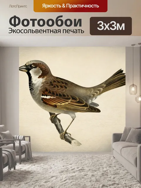 Фотообои Винтажная художественная иллюстрация пти