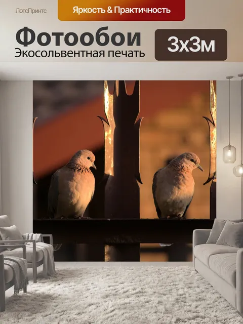 Фотообои Голуби