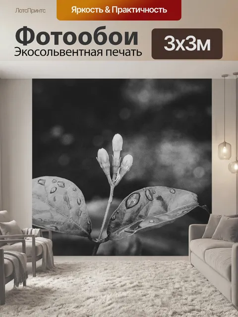 Фотообои Черное и белое