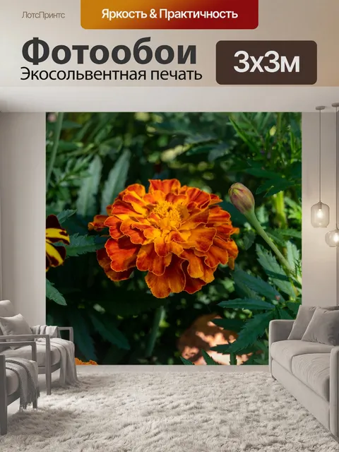 Фотообои Цветы