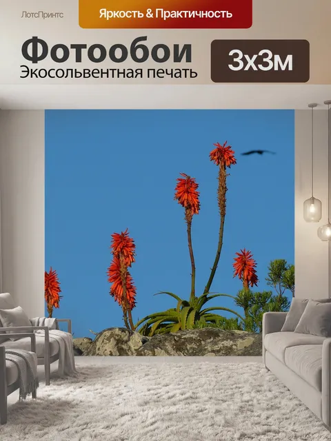 Фотообои Южная африка