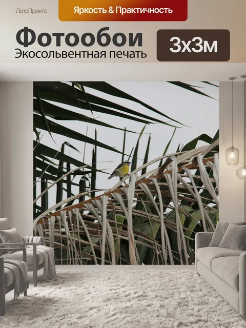 Фотообои Птица